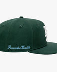 LA Snapback