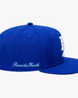 LA Snapback
