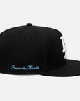LA Snapback