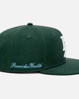 LA Snapback